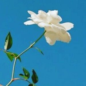 Meet your Posher, Kendra